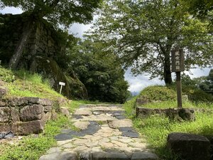 naeki-20260907-004.jpg