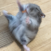 2026-3D-kenshuu_004.png