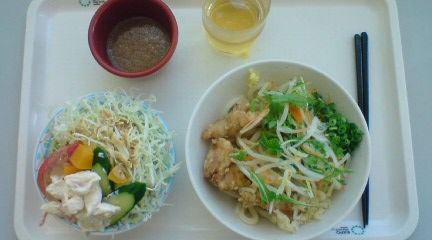 udon_photo4.jpg